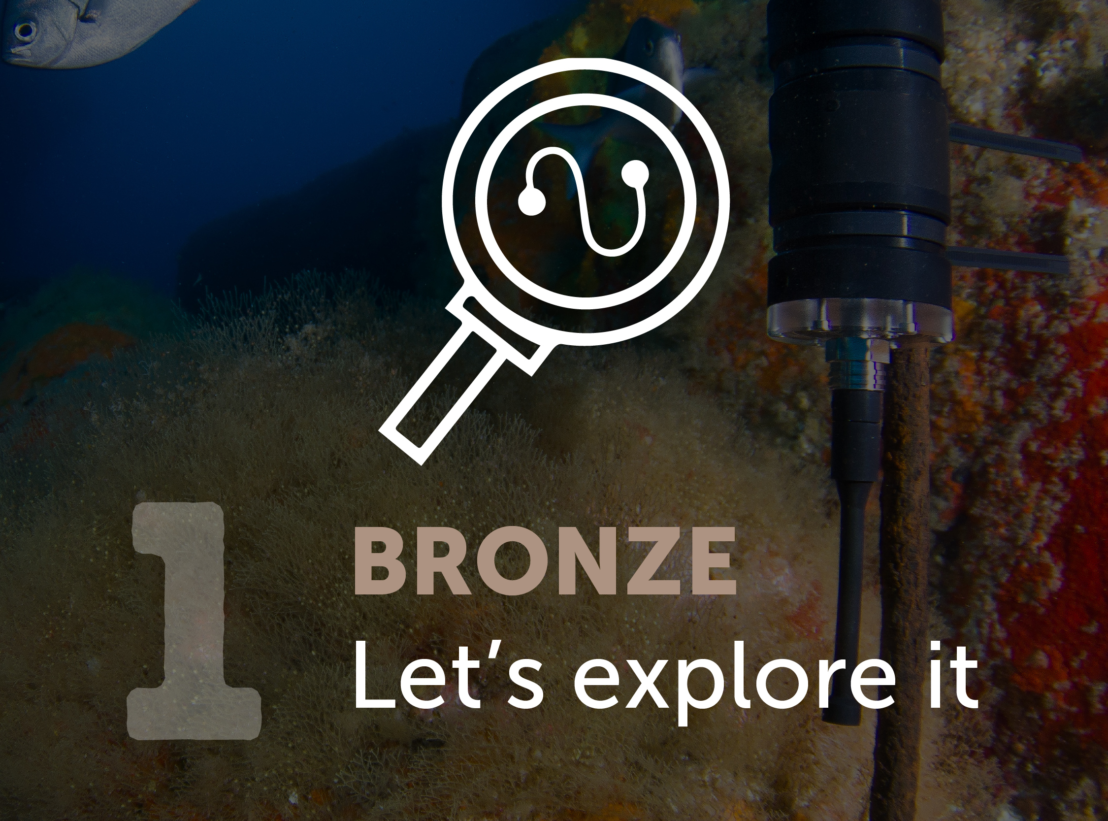 Sounds of the Sea - Programme - Bronze