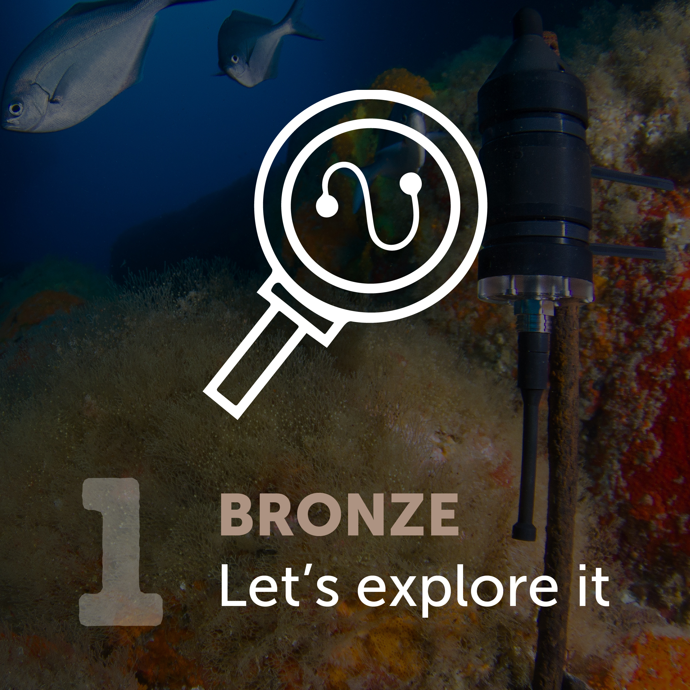 Sounds of the Sea Programme - Bronze